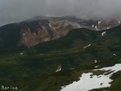 富良野岳 25/06/’15_e0326953_23362413.jpg