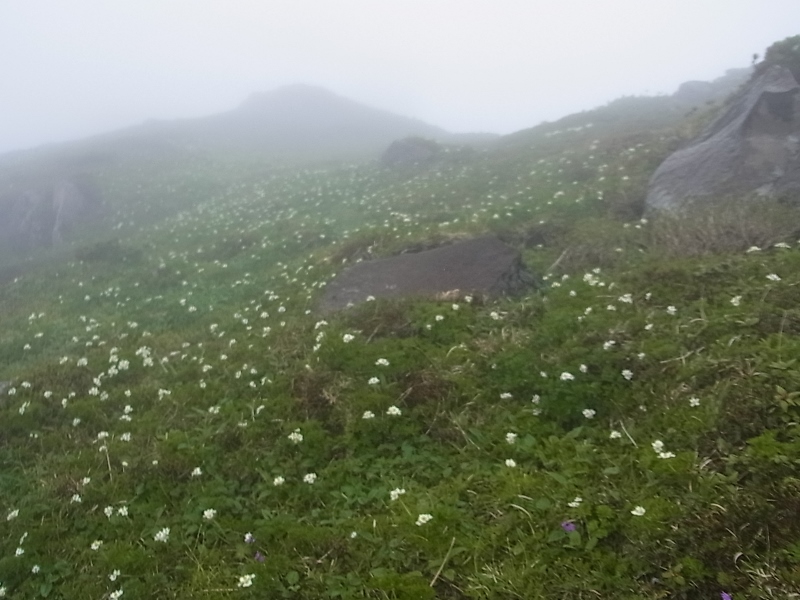 富良野岳 25/06/’15_e0326953_23513479.jpg