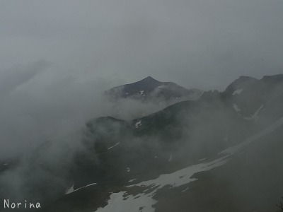 富良野岳 25/06/’15_e0326953_235663.jpg