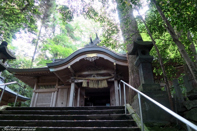 日向神話を巡る旅　槵觸神社編　その１。_f0351853_19042048.jpg