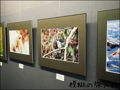 「ブログの輪写真展2015」無事終了！_f0140054_8261089.jpg