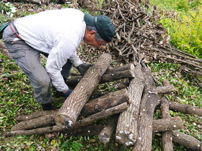 原木しいたけ　原木の本伏せ作業2015_a0254656_2032815.jpg