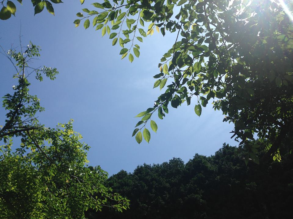 c0115560_1427332.jpg