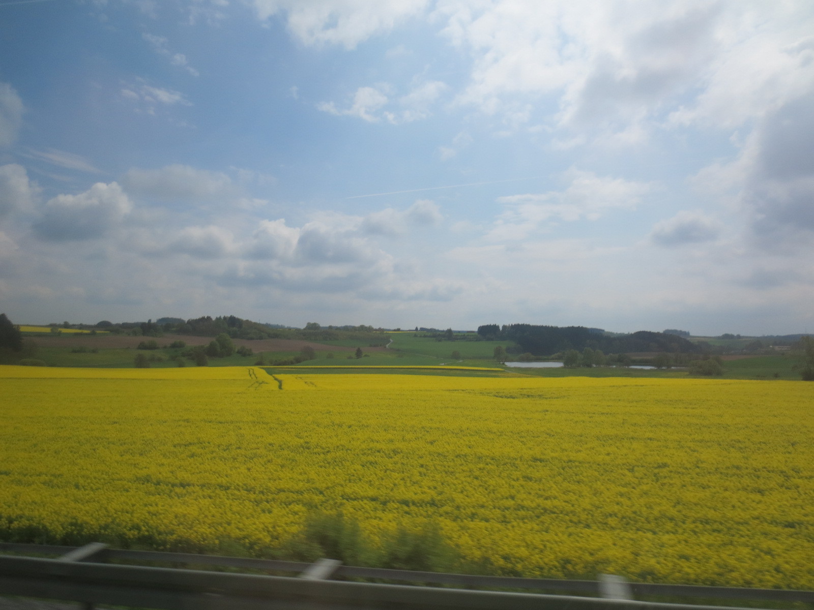 c0330562_13412264.jpg