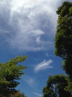 今日の空と本_e0136066_23532720.jpg