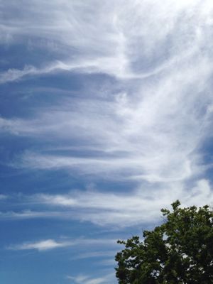 今日の空と本_e0136066_23532764.jpg