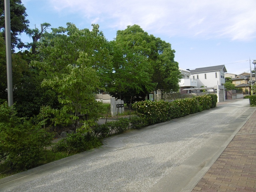 公園のフェンス_f0205367_20430845.jpg
