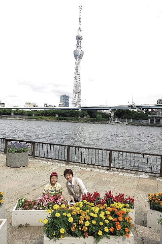 スカイツリー、あれから……。_b0141773_23505943.jpg