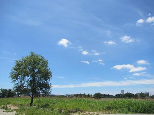 a0251786_15532450.jpg