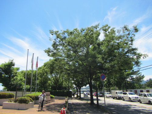 a0251786_15592826.jpg