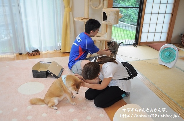 癒しのリビング_a0126590_23085163.jpg