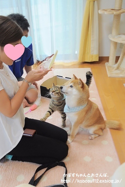 癒しのリビング_a0126590_23100198.jpg