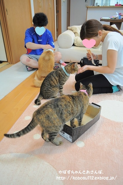 癒しのリビング_a0126590_23195773.jpg