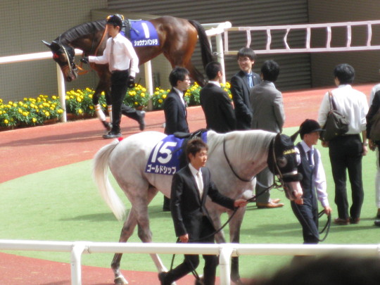 宝塚記念　2015_f0010195_15524420.jpg