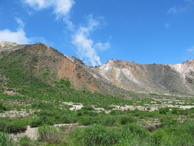 九重山周回花巡り　2015.6.28（日）_a0166196_16452929.jpg