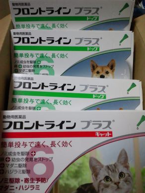 27日に移動出来た2匹です_f0242002_8158.jpg