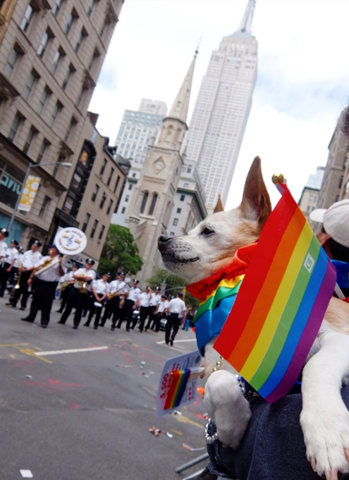 NYのゲイ・プライド・パレード2015（最高裁が全州で同性婚認める判断を下した2日後）_b0007805_3462262.jpg