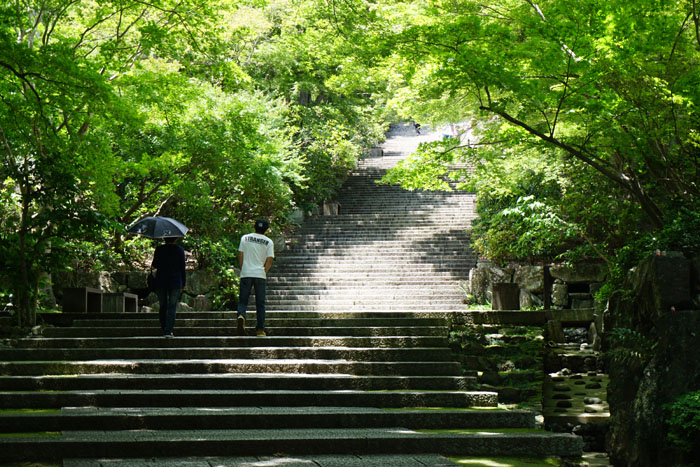 勝ちダルマを返しに勝尾寺へ デジタルフォト日記