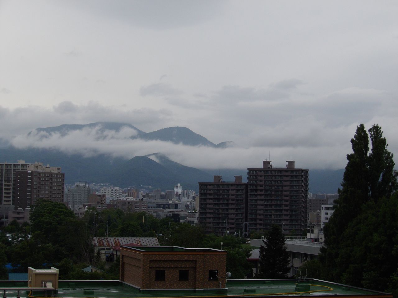 雨間のハシドイ_c0025115_1994384.jpg