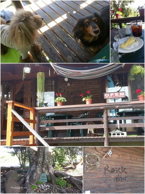 * リゾートcafe見っけ *_d0317115_2050749.jpg