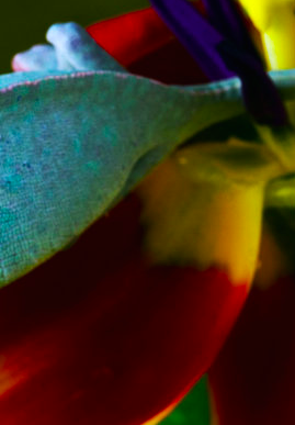 e0141819_22494713.png