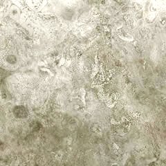 f0245124_21251087.jpg
