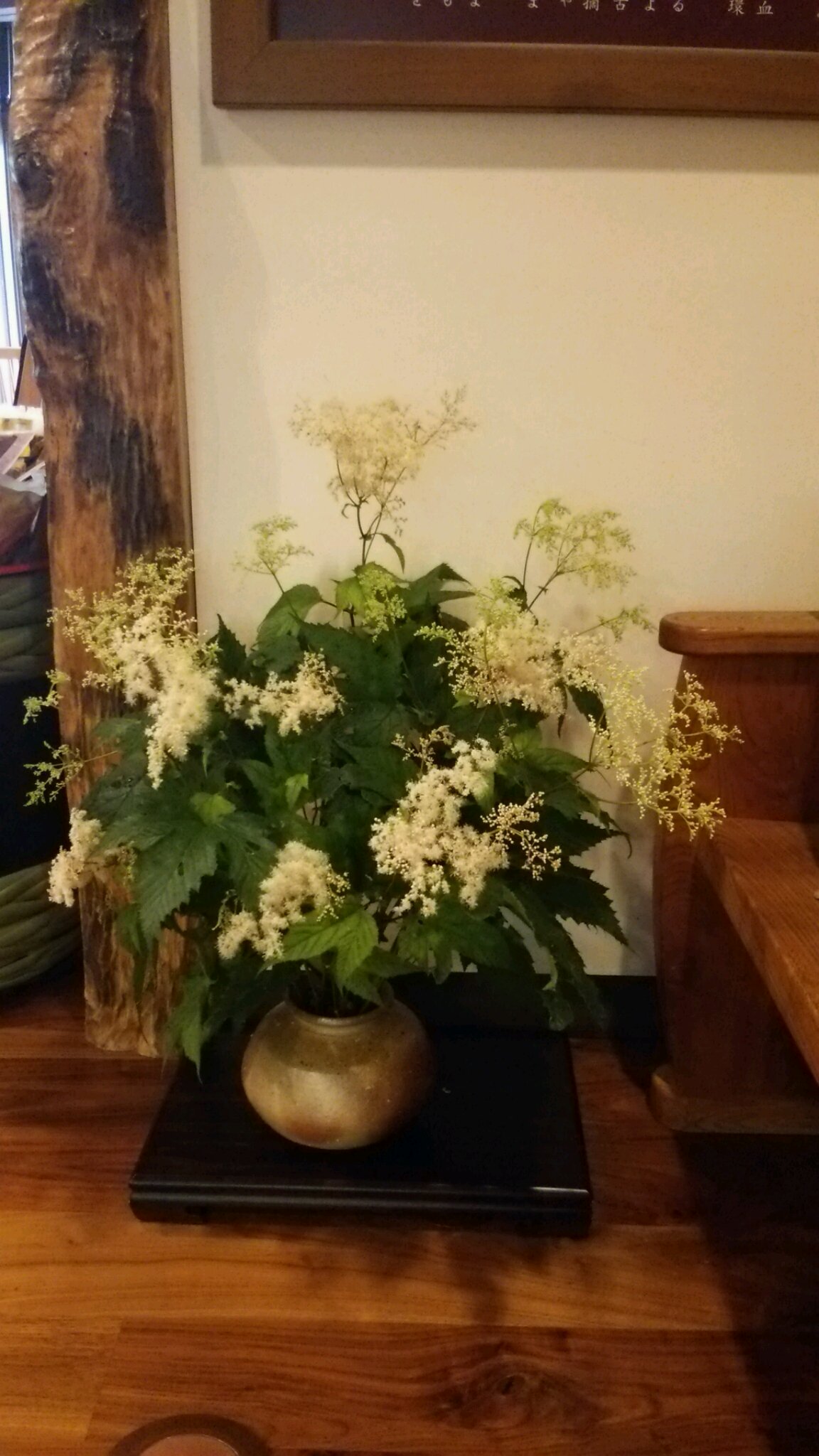 山野草、樹木など、季節の花々&庭の手入れ_c0213830_13481156.jpg