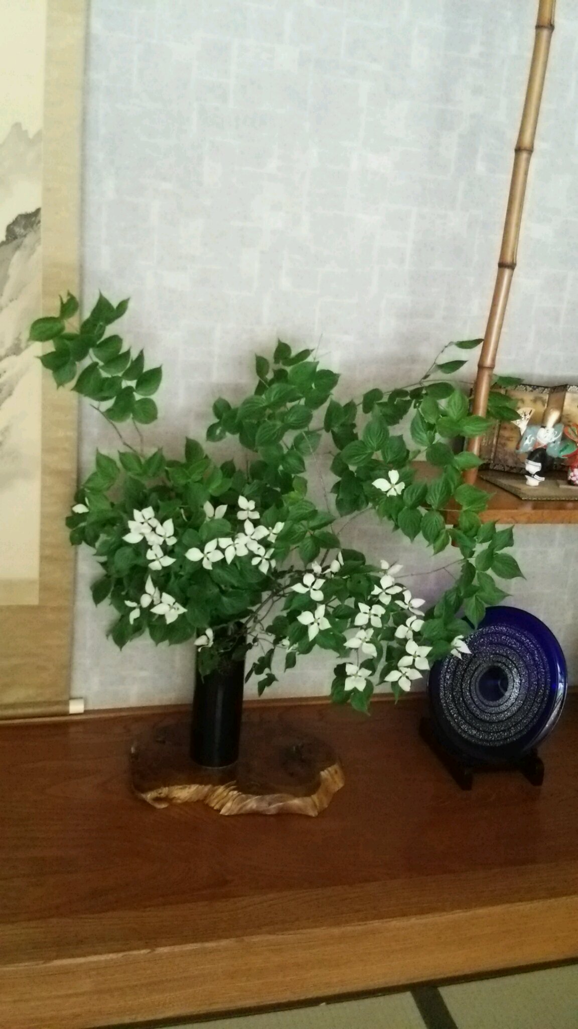 山野草、樹木など、季節の花々&庭の手入れ_c0213830_1349153.jpg