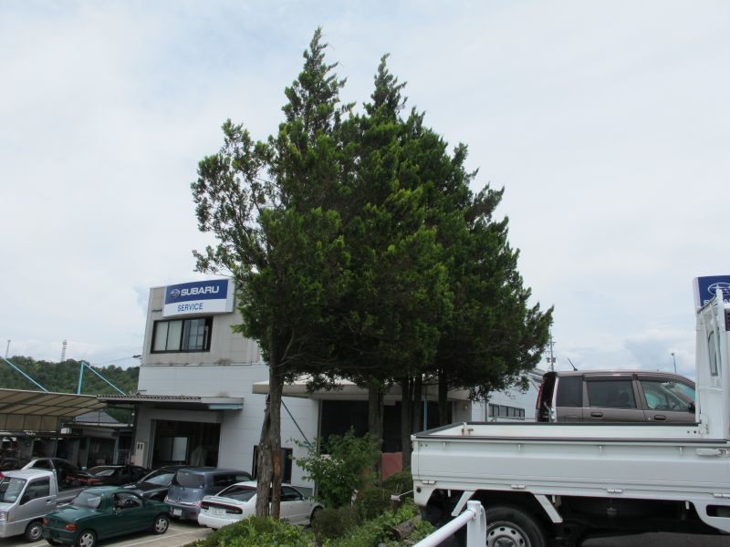 SVXの底力_f0076731_13463039.jpg