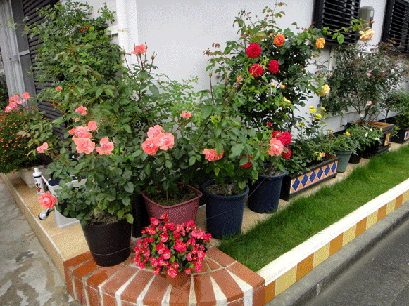 a0056140_16555927.gif