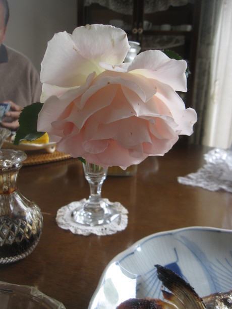 a0279743_10361846.jpg