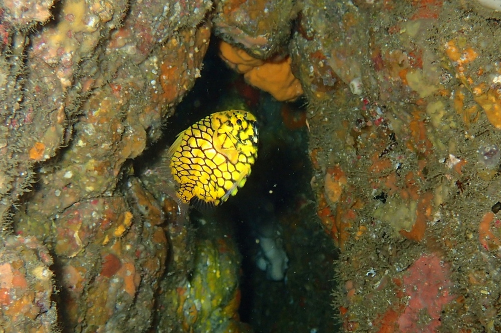 d0058549_1822588.jpg