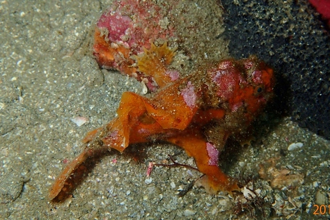d0058549_1842214.jpg
