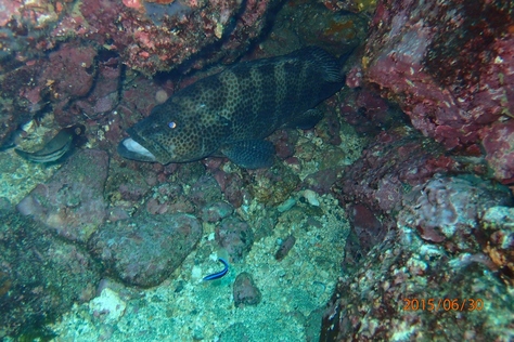 d0058549_185286.jpg
