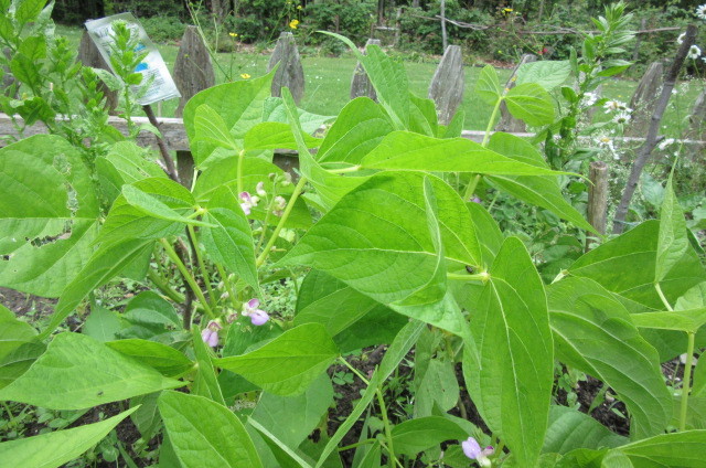 b0247153_02335585.jpg