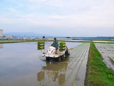 七城米 長尾農園 美しすぎる田んぼの田植え(2015)その1:欠株を出さない美しすぎる苗床と代かき_a0254656_19184119.jpg