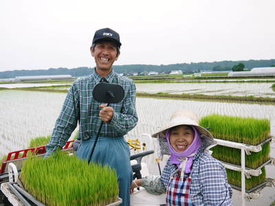 七城米 長尾農園 美しすぎる田んぼの田植え(2015)その1:欠株を出さない美しすぎる苗床と代かき_a0254656_19225017.jpg