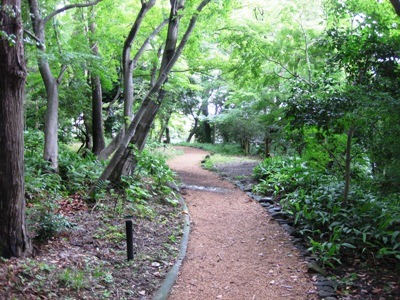 c0190960_21244316.jpg
