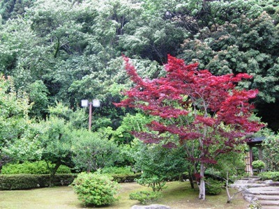 c0190960_2125983.jpg