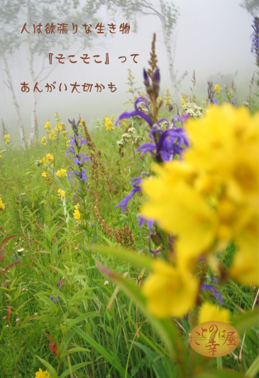 良いも悪いもあって当たり前・・・・・なんじゃないかな?_b0129362_22234082.jpg