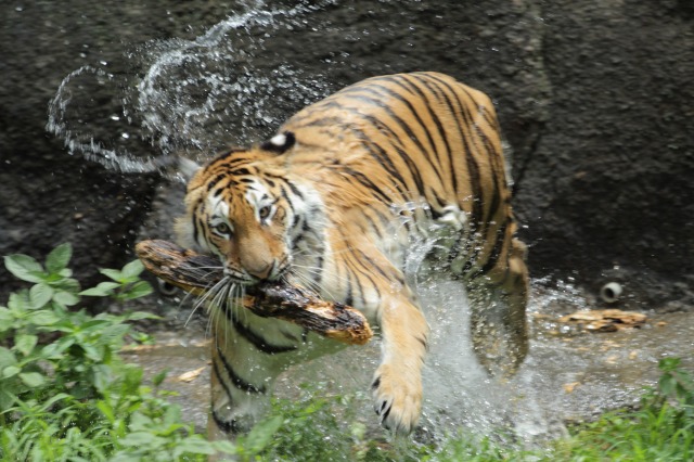 a0188771_21182448.jpg