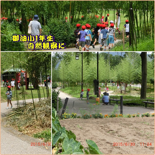d0007071_16582929.jpg