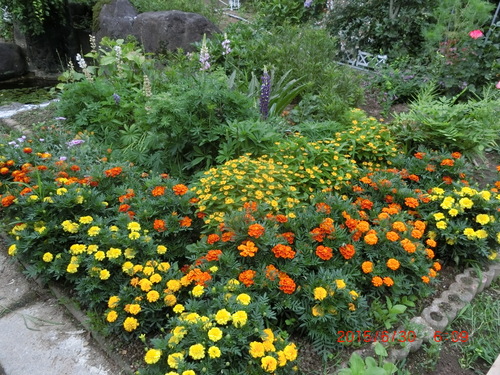d0007071_1783267.jpg
