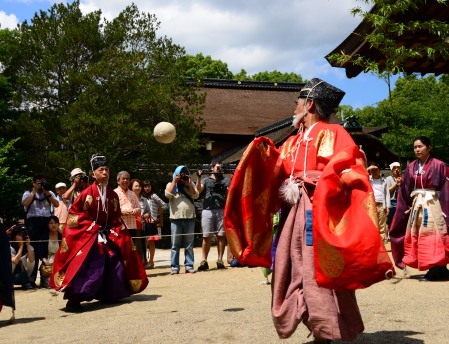 趣味の写真・・・藤森神社　　　京都市_b0105374_1936455.jpg