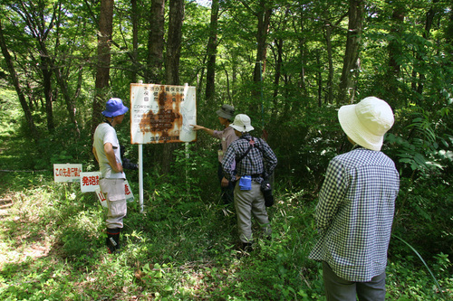 150530＜オオタカの森＞観察会_e0118274_14485586.jpg