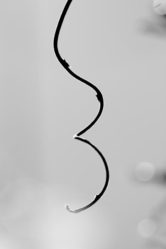 c0356480_22144565.jpg