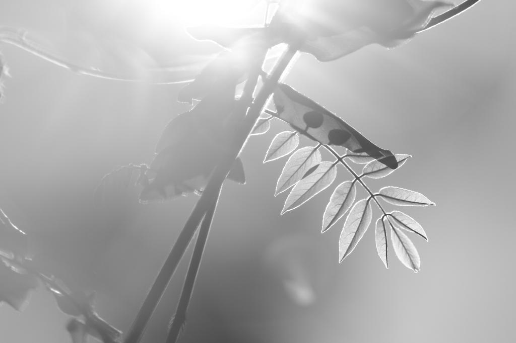 c0356480_22144569.jpg