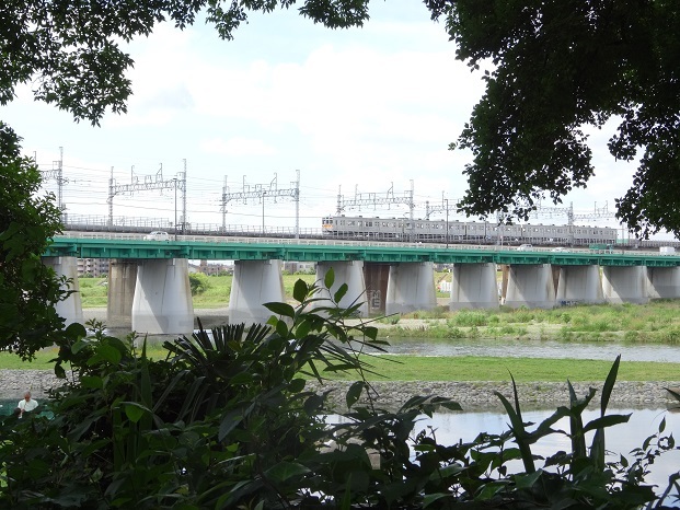 d0183387_22591990.jpg