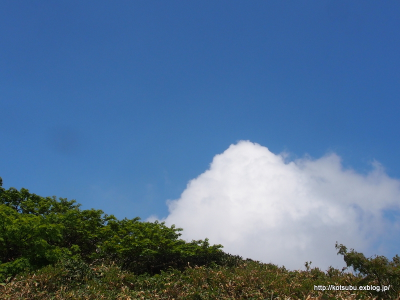 幸せな稜線♪　平標山～仙ノ倉山 ③_e0195587_20192049.jpg