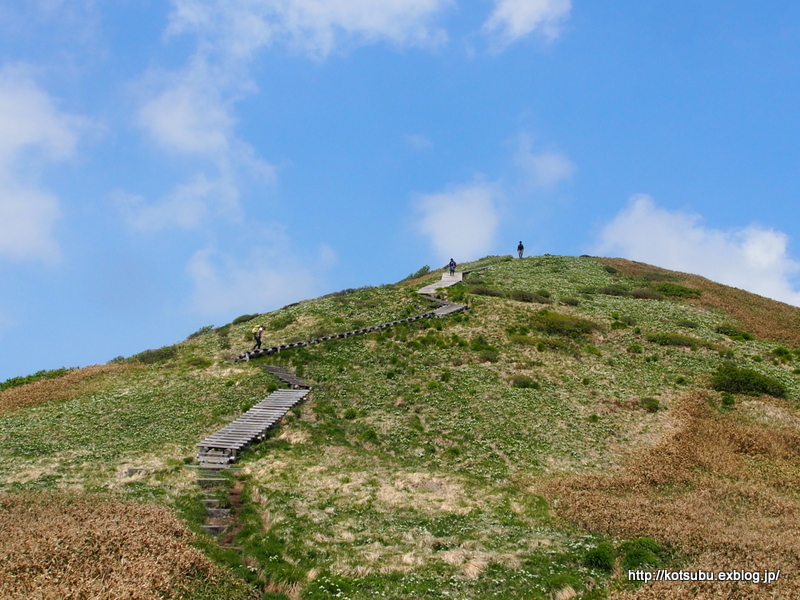 幸せな稜線♪　平標山～仙ノ倉山 ③_e0195587_20195991.jpg